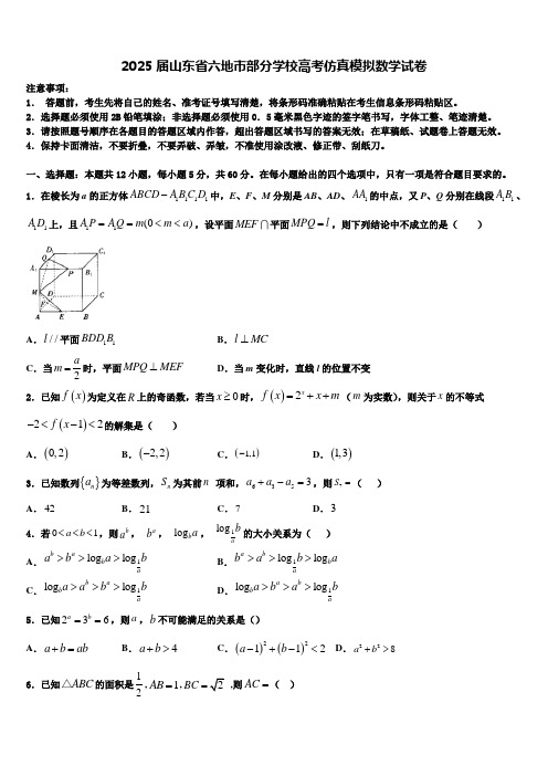 2025届山东省六地市部分学校高考仿真模拟数学试卷含解析