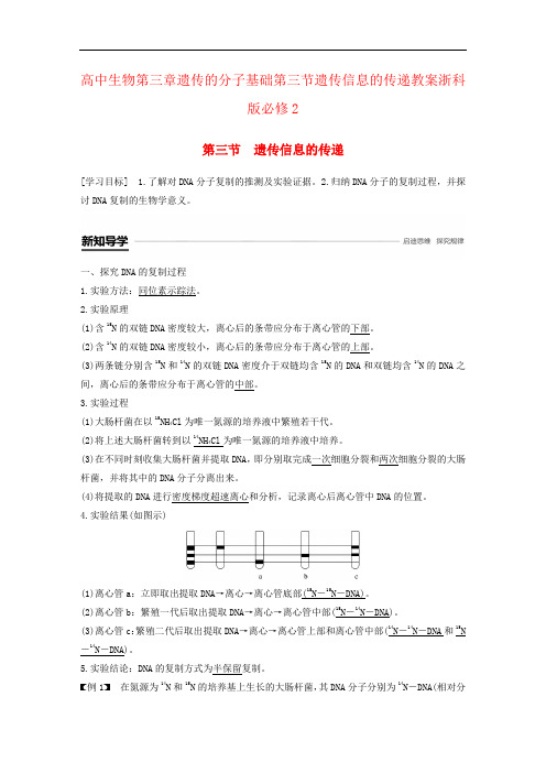 高中生物第三章遗传的分子基础第三节遗传信息的传递教案浙科版必修2