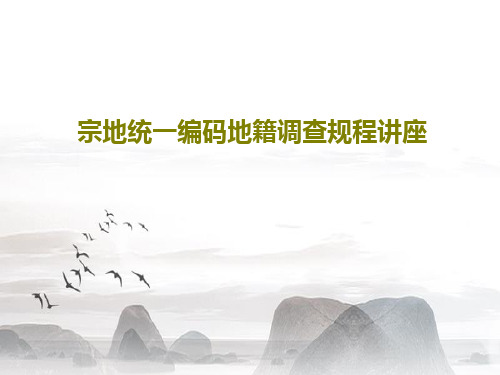 宗地统一编码地籍调查规程讲座共79页文档