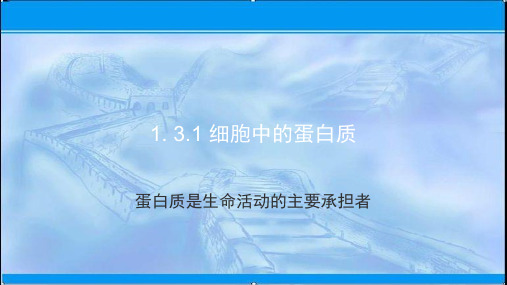 新苏教版 必修1  1.3.1 细胞中的蛋白质 课件(28张)