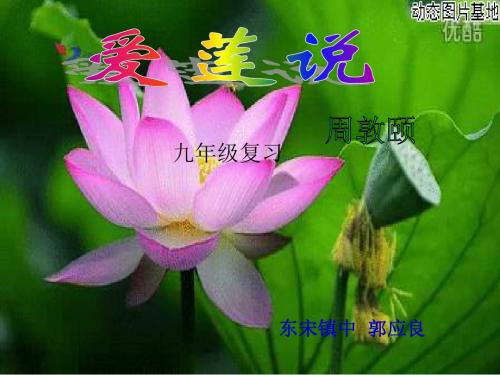 《爱莲说》复习课件