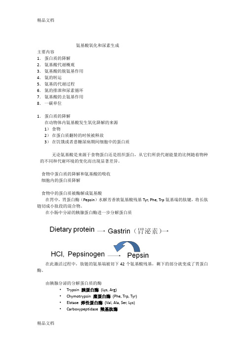 (整理)氨基酸氧化