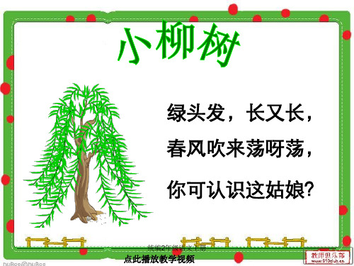 统编二年级语文上册-15《小柳树和小枣树》课件