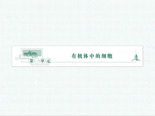 高中生物课件-中图版高中生物必修1第一节《人类对细胞