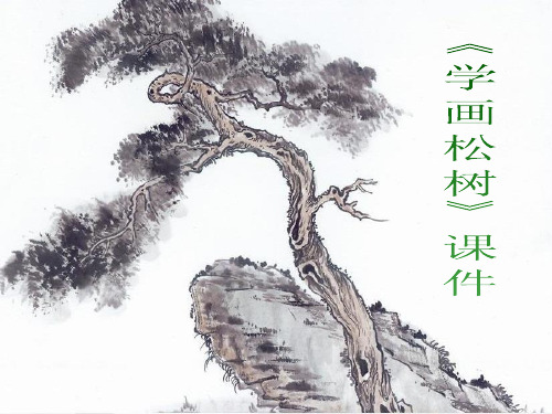 人教版美术五年级下册 第十一课《学画松树》课件03