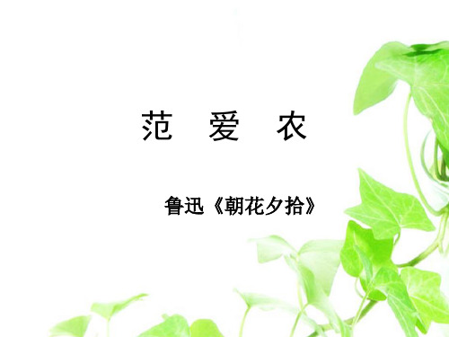 《范爱农》详细版