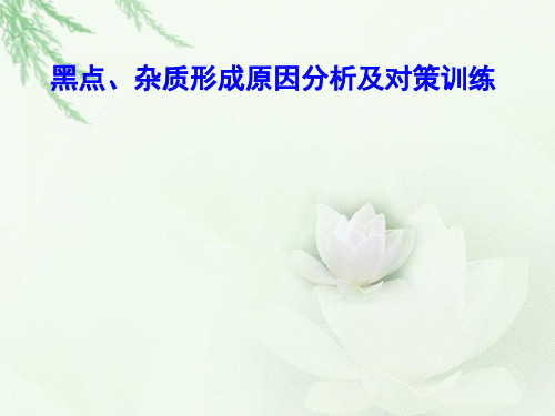 注塑成型杂质黑点.ppt