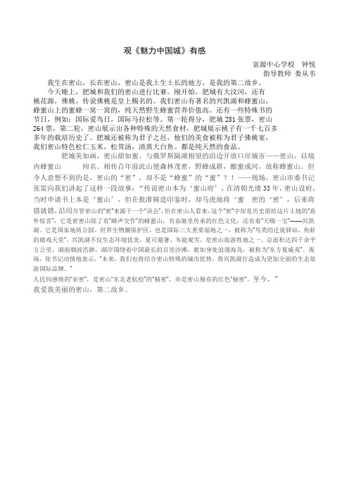富源小学五年二班魅力中国城有感