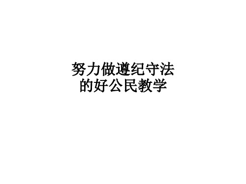努力做遵纪守法的好公民ppt课件