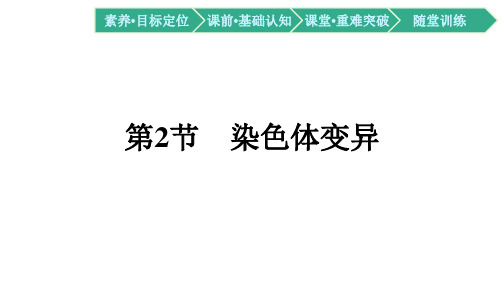 新人教版必修2染色体变异课件(共63张)