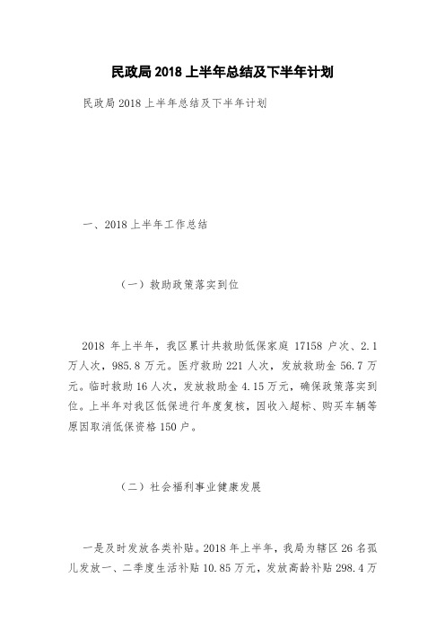 民政局2018上半年总结及下半年计划