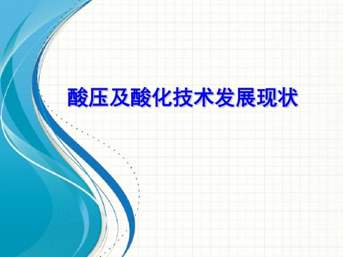 发展战略-酸压及酸化技术发展现状讲义(PPT53页)