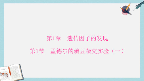 高中生物第1章遗传因子的发现第1节孟德尔的豌豆杂交实验一课件新人教版必修2