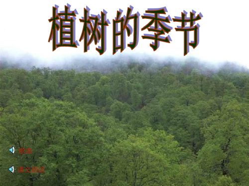 植树的季节精品PPT教学课件