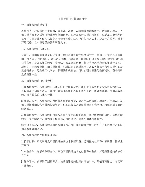 石墨提纯可行性研究报告