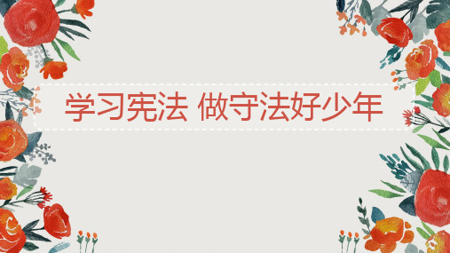 学习宪法 做守法好少年PPT演示课件