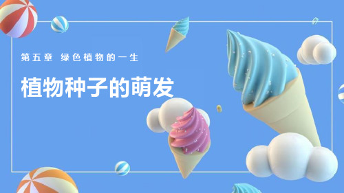 最新苏教版七年级生物上册《植物种子的萌发》教学课件