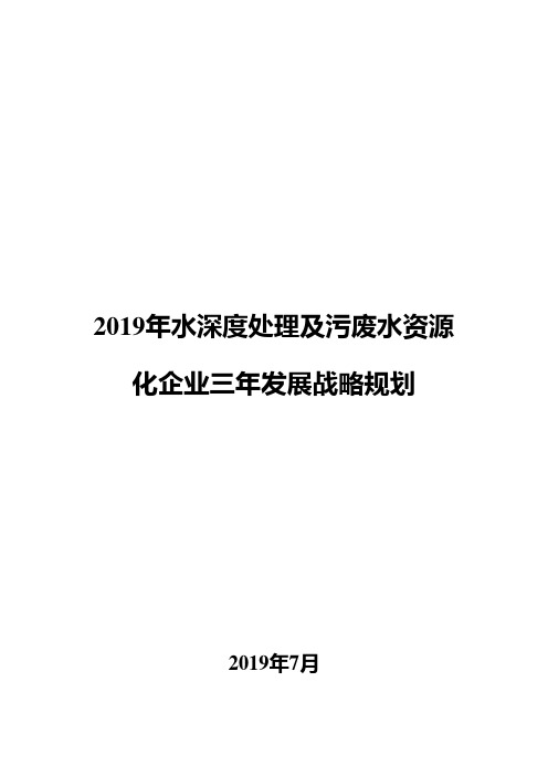 2019年水深度处理及污废水资源化企业三年发展战略规划