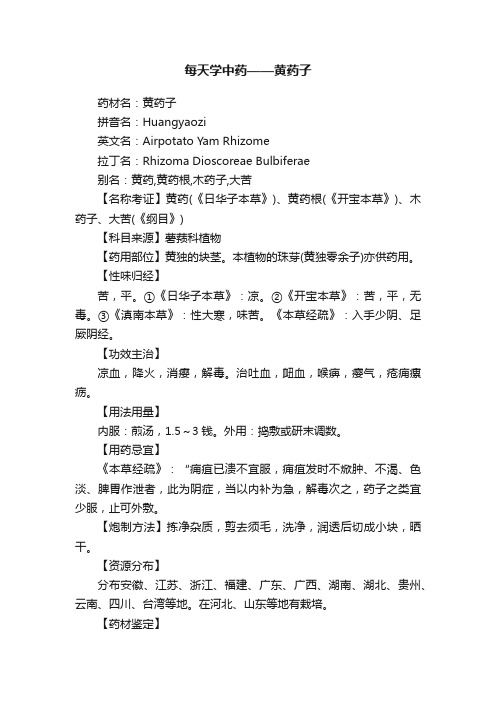 每天学中药——黄药子