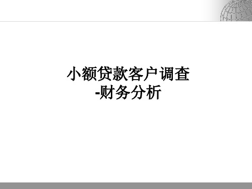 小额贷款客户调查-财务报表编制与分析