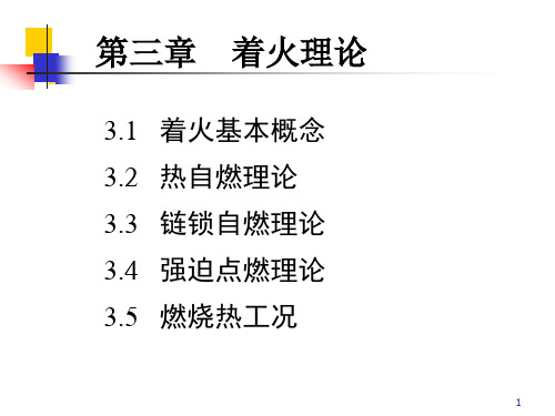 第3章 着火理论