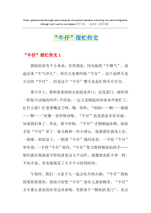 “牛仔”很忙作文