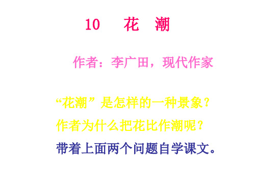 六年级语文花潮1
