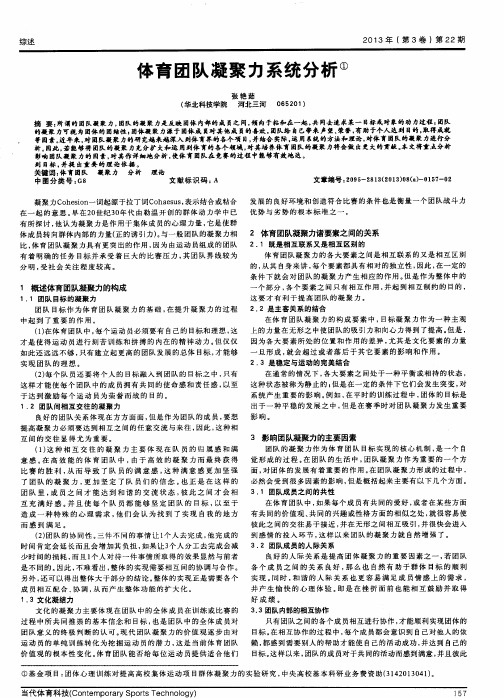 体育团队凝聚力系统分析
