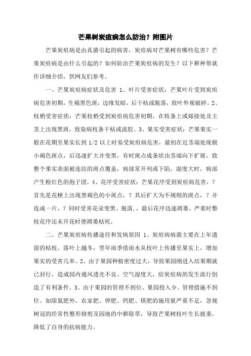 芒果树炭疽病怎么防治？附图片