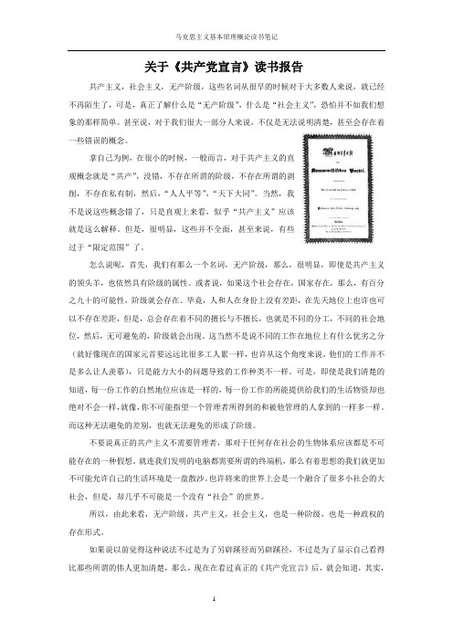 马克思主义原理——读书报告