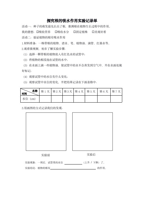 《1.3验证植物根的作用实验记录表》