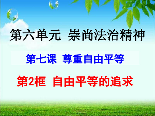 自由平等的追求PPT(部编版课件)1
