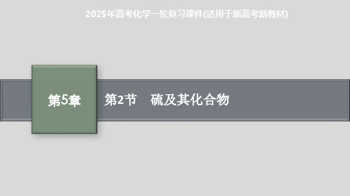 2025年高考化学一轮复习课件(适用于新高考新教材) 第2节 硫及其化合物