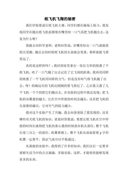 纸飞机的秘密