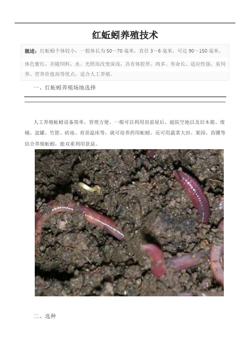 红蚯蚓养殖技术
