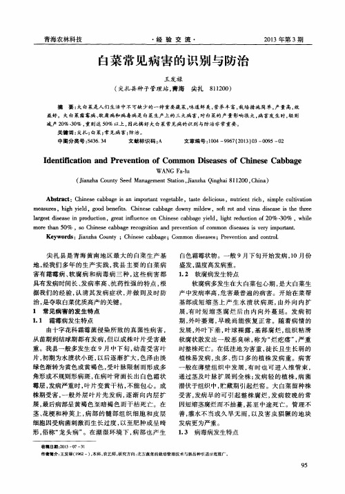 白菜常见病害的识别与防治