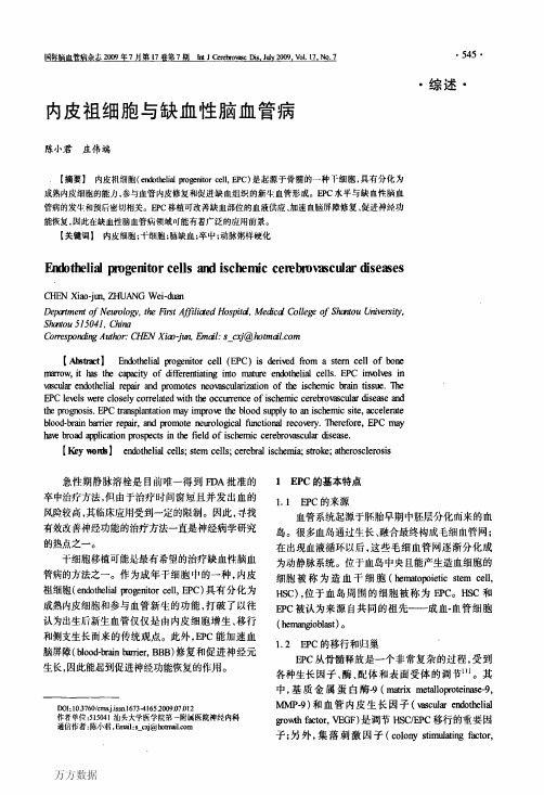 内皮祖细胞与缺血性脑血管病