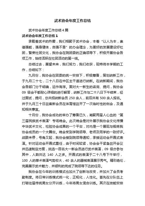 武术协会年度工作总结4篇