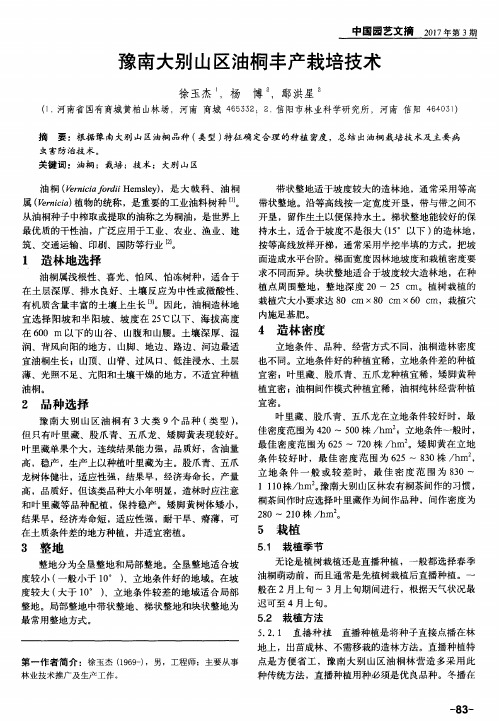 豫南大别山区油桐丰产栽培技术