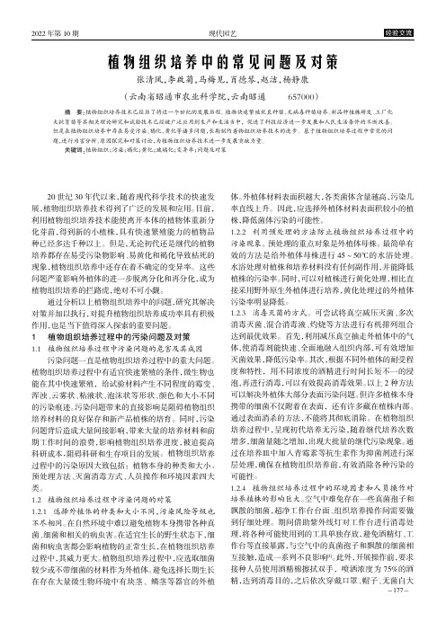 植物组织培养中的常见问题及对策
