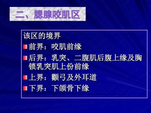 颞区、颞下区、腮腺咬肌区、