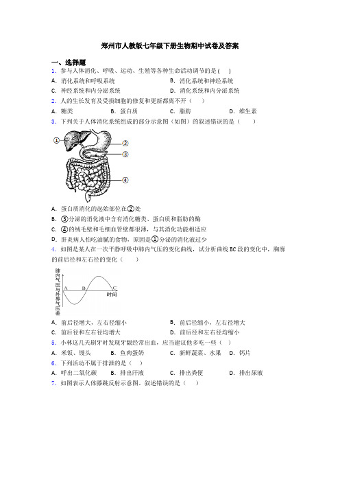 郑州市人教版七年级下册生物期中试卷及答案