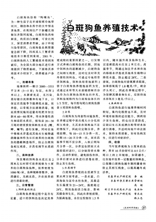 白斑狗鱼养殖技术