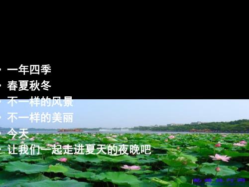 夏天的夜晚