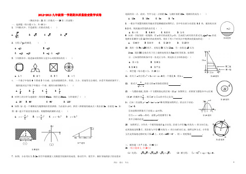 2013.12九年级数学上学期期末试卷