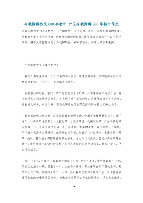 令我陶醉作文600字初中 什么令我陶醉600字初中作文