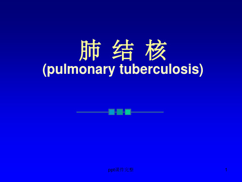 肺结核完整ppt课件