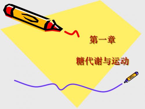 运动和糖代谢