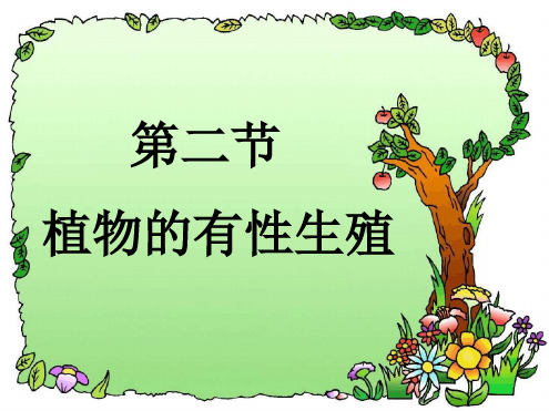 生物212植物的有性生殖课件苏教版八年级下