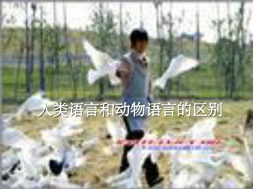 人类语言和动物语言区别